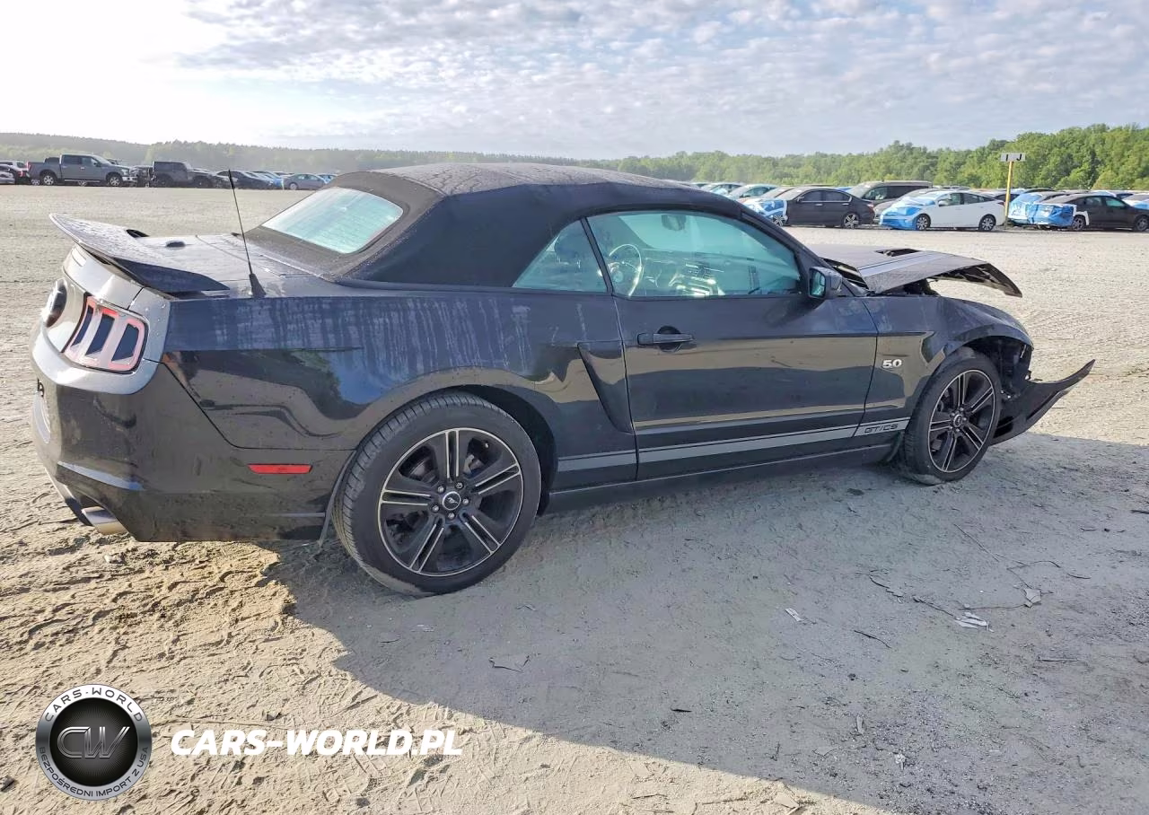 2013 Ford Mustang Gt VIN:1ZVBP8FF4D5237496 - 3