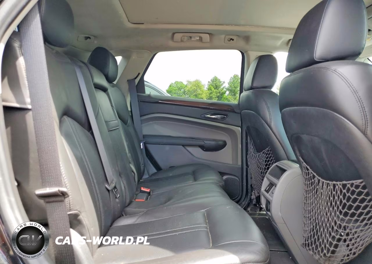 2010 Cadillac Srx Luxury Collection VIN:3GYFNDEY5AS519633 - 11