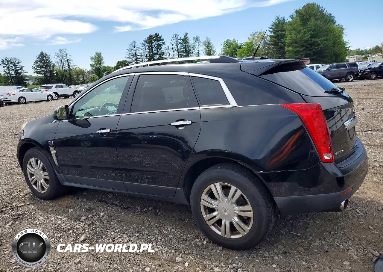 2010 Cadillac Srx Luxury Collection VIN:3GYFNDEY5AS519633 - 2