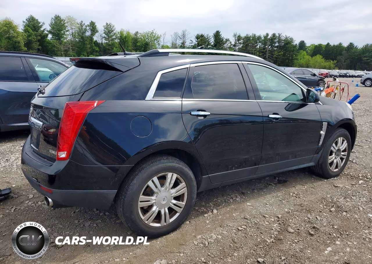 2010 Cadillac Srx Luxury Collection VIN:3GYFNDEY5AS519633 - 3