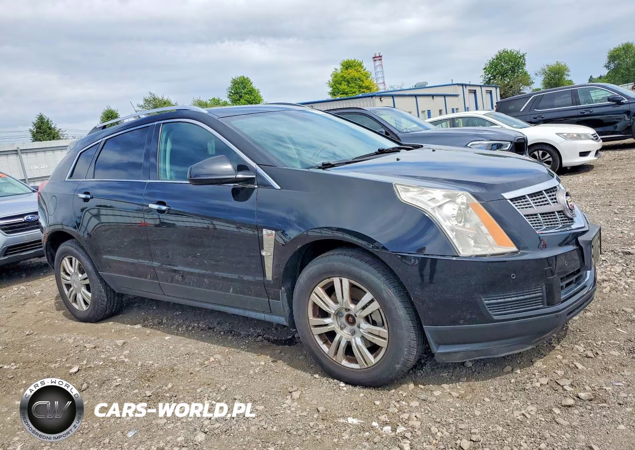 2010 Cadillac Srx Luxury Collection VIN:3GYFNDEY5AS519633 - 4