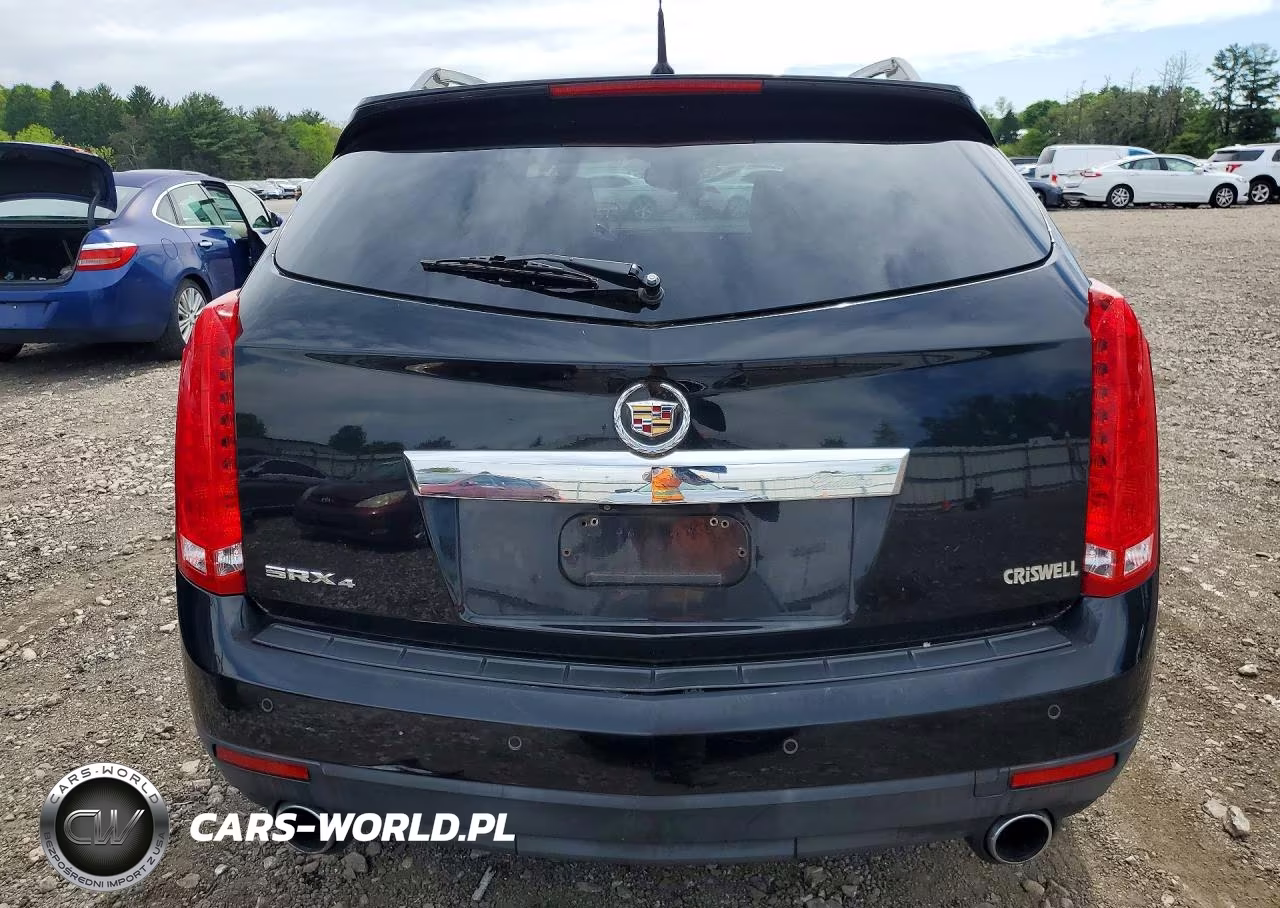 2010 Cadillac Srx Luxury Collection VIN:3GYFNDEY5AS519633 - 6