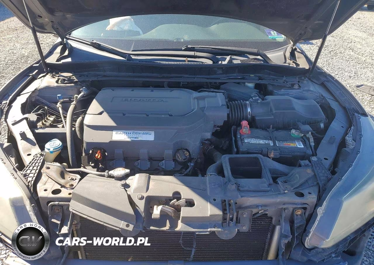 2013 Honda Accord Exl VIN:1HGCR3F85DA009604 - 11