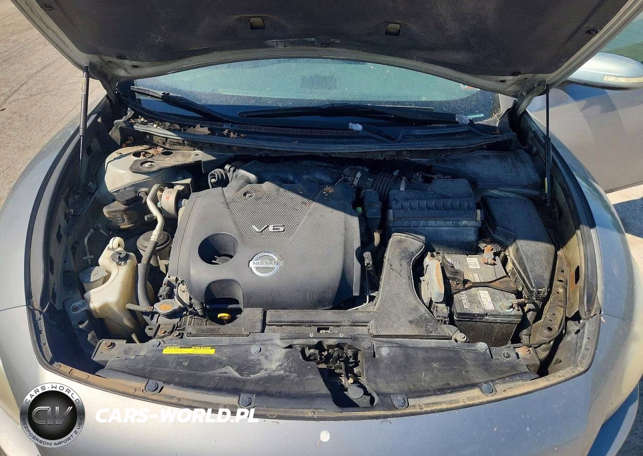 2009 Nissan Maxima 3.5 S VIN:1N4AA51E29C824673 - 11