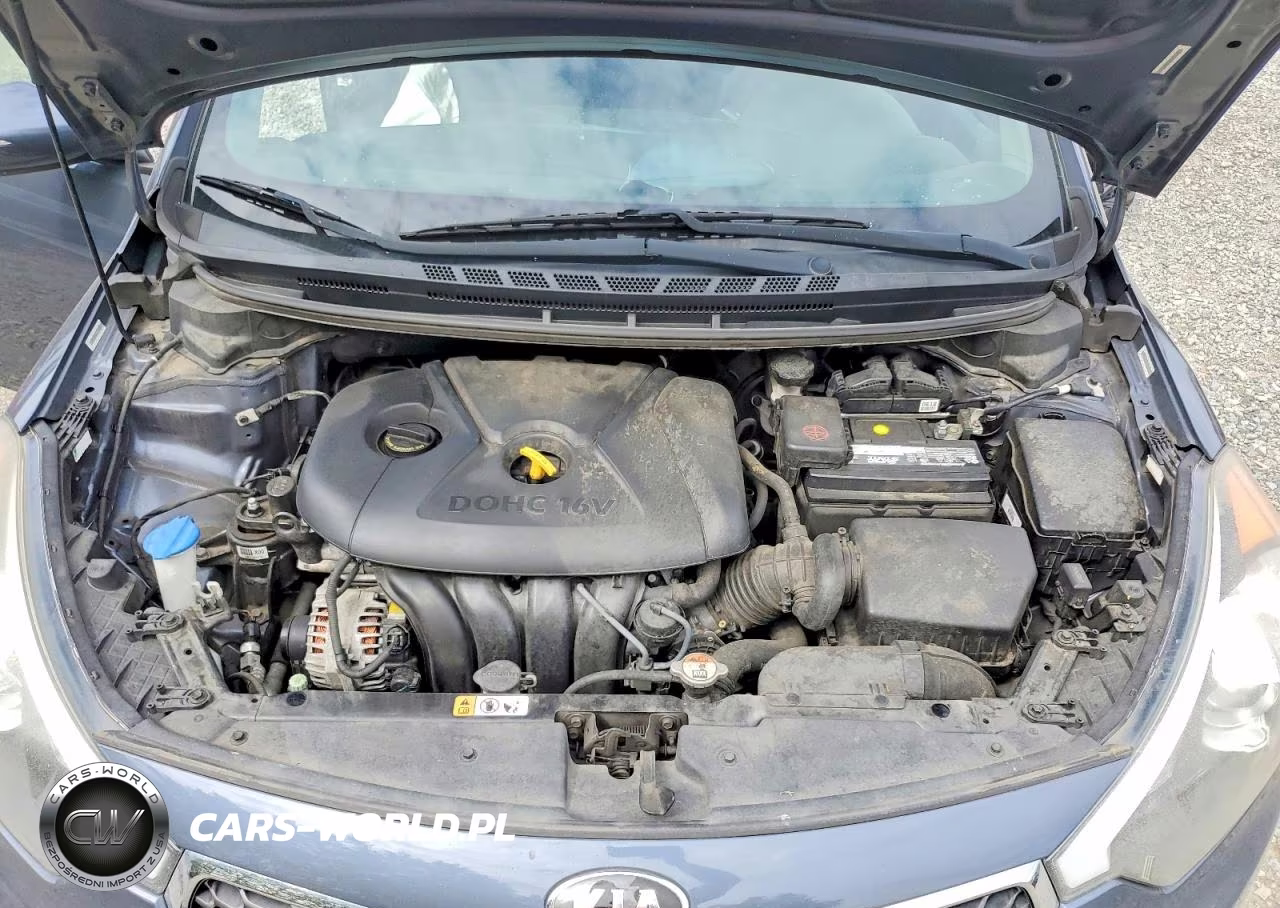 2015 Kia Forte Lx VIN:KNAFX4A68F5256301 - 11