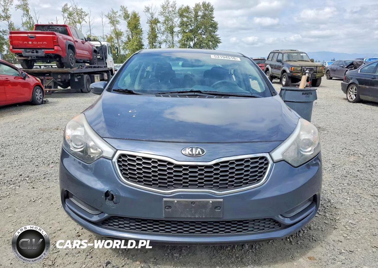 2015 Kia Forte Lx VIN:KNAFX4A68F5256301 - 5