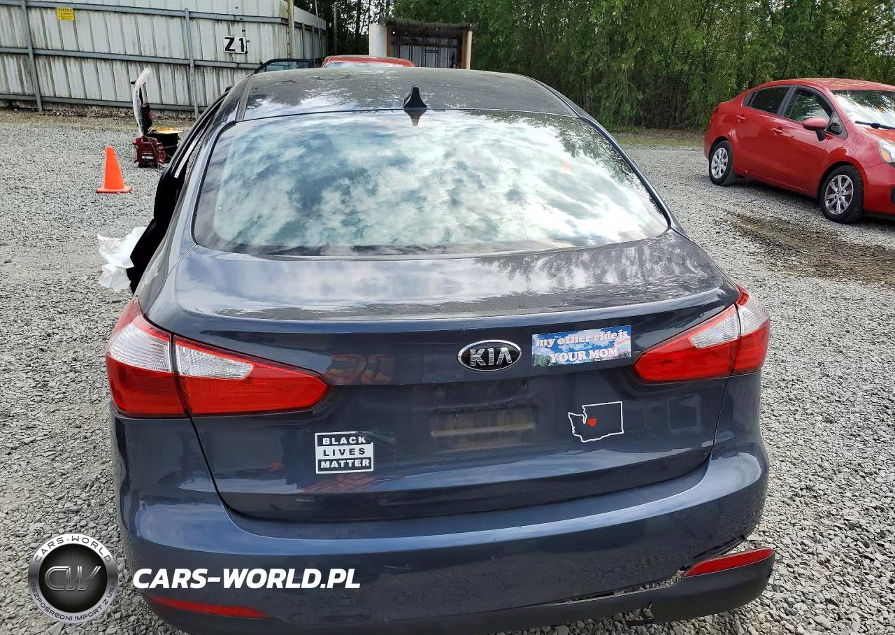 2015 Kia Forte Lx VIN:KNAFX4A68F5256301 - 6