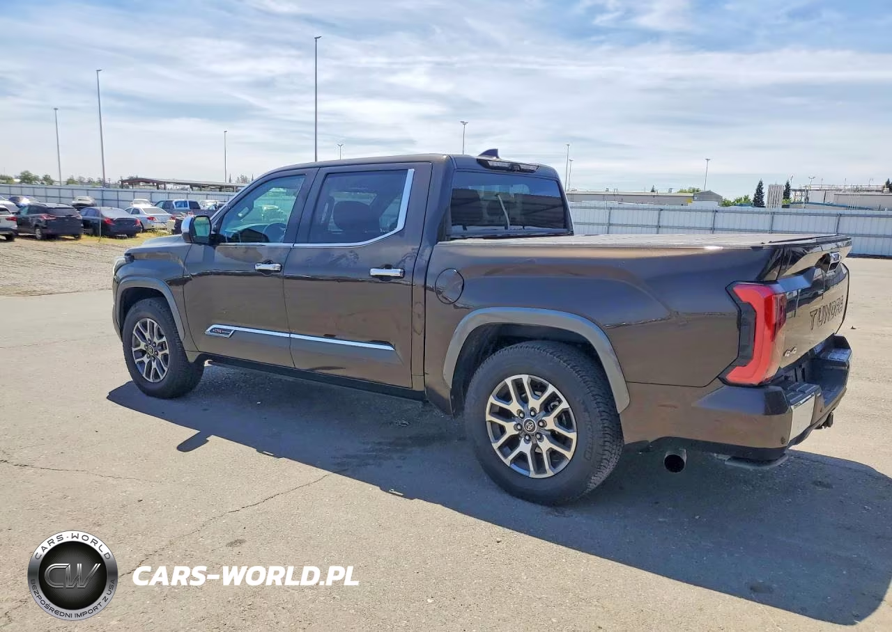 2022 Toyota Tundra 1794 Edition VIN:5TFMA5DB6NX006648 - 2