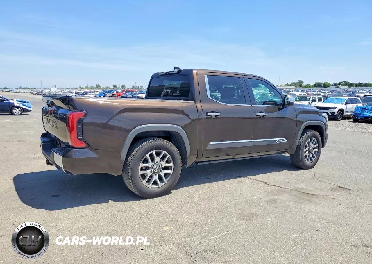 2022 Toyota Tundra 1794 Edition VIN:5TFMA5DB6NX006648 - 3