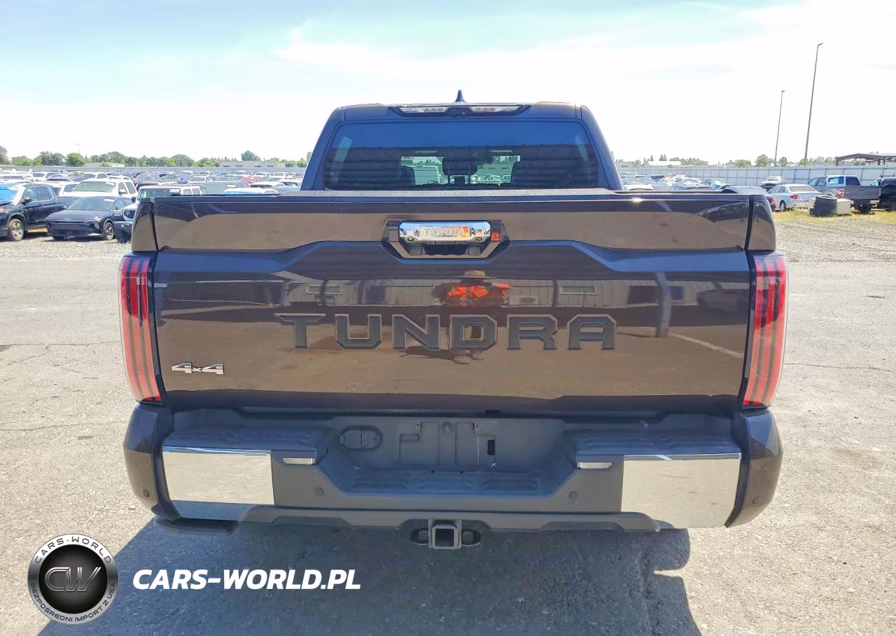2022 Toyota Tundra 1794 Edition VIN:5TFMA5DB6NX006648 - 6