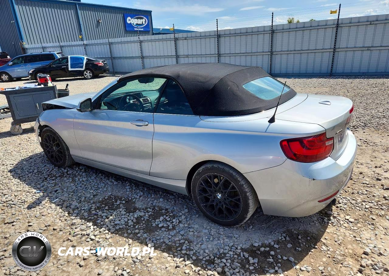 2016 BMW 228 Xi Sulev VIN:WBA1L9C58GV324461 - 2