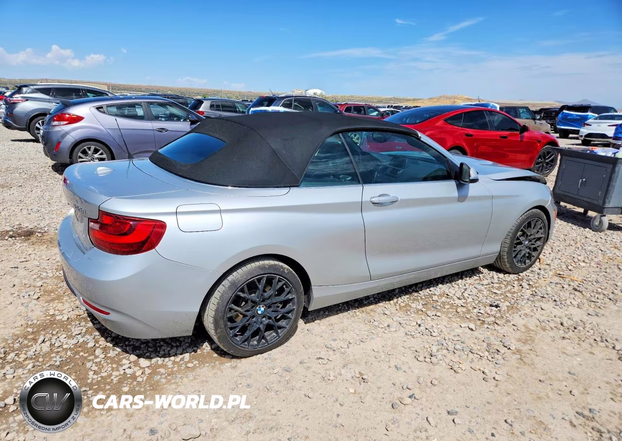 2016 BMW 228 Xi Sulev VIN:WBA1L9C58GV324461 - 3