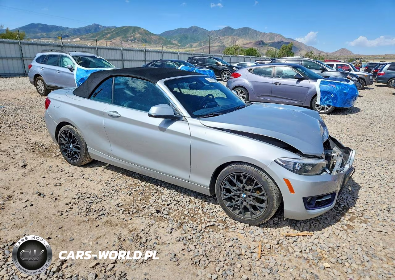 2016 BMW 228 Xi Sulev VIN:WBA1L9C58GV324461 - 4
