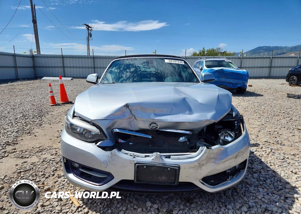 2016 BMW 228 Xi Sulev VIN:WBA1L9C58GV324461 - 5