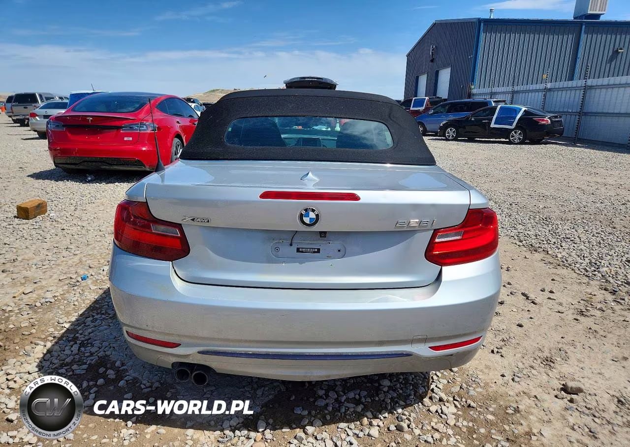 2016 BMW 228 Xi Sulev VIN:WBA1L9C58GV324461 - 6