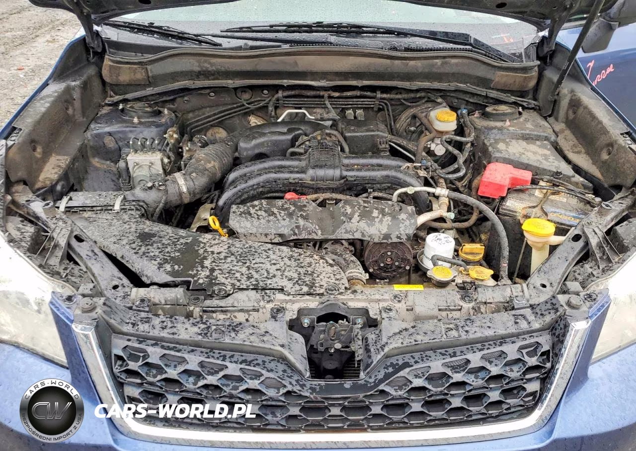 2014 Subaru Forester 2.5I VIN:JF2SJAAC3EH491257 - 12