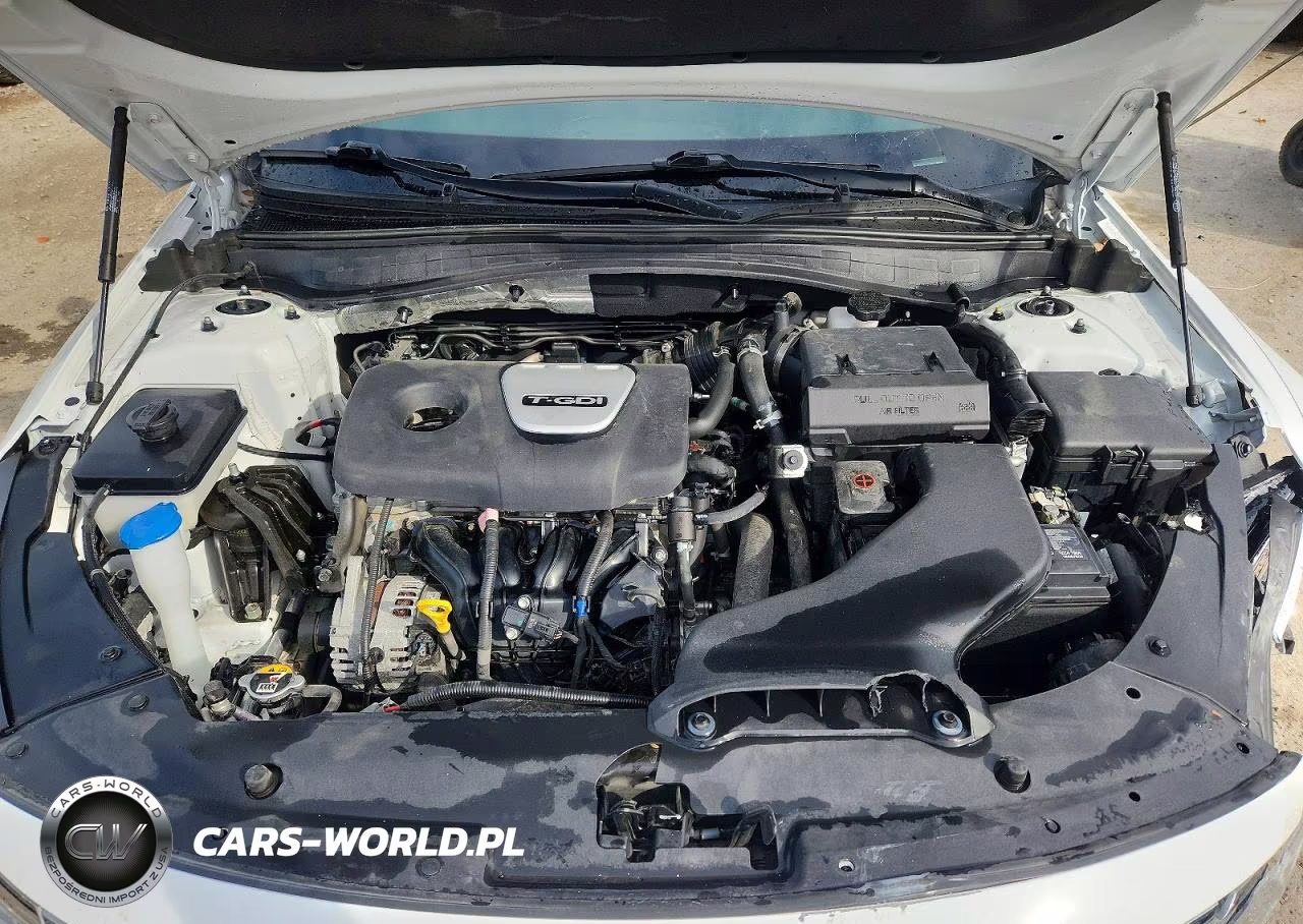 2019 Kia Optima Ex VIN:5XXGU4L16KG329818 - 11