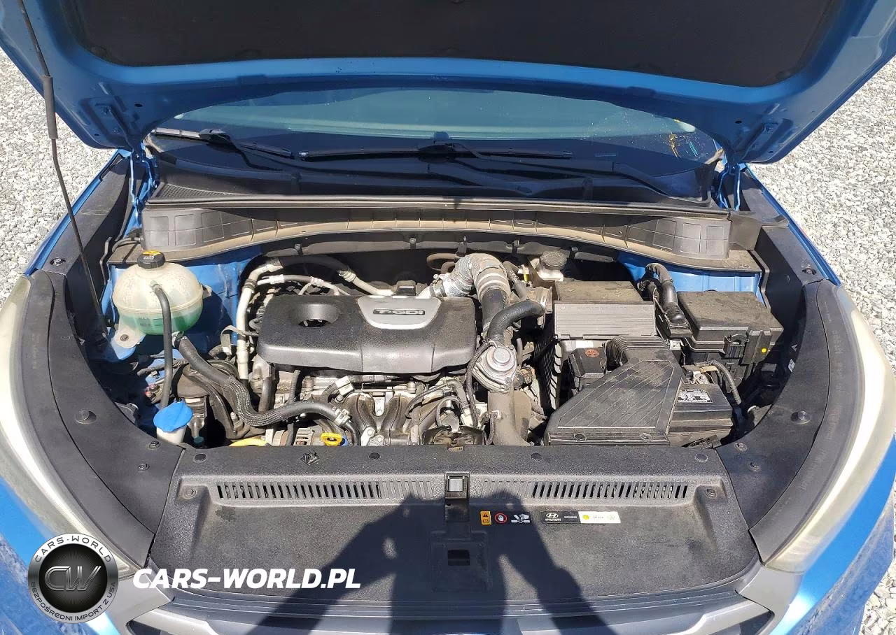 2017 Hyundai Tucson Eco VIN:KM8J3CA26HU419984 - 12