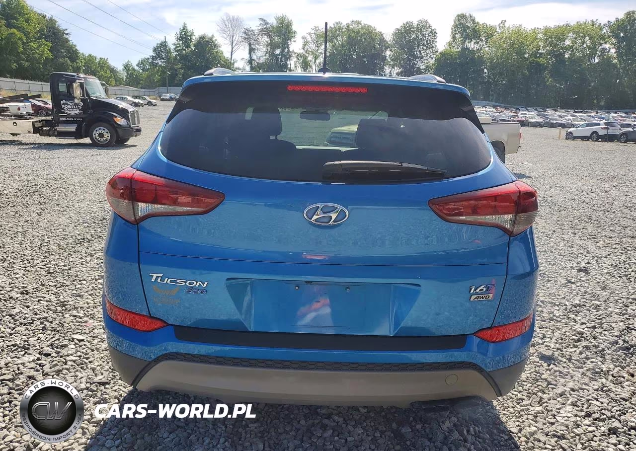 2017 Hyundai Tucson Eco VIN:KM8J3CA26HU419984 - 6