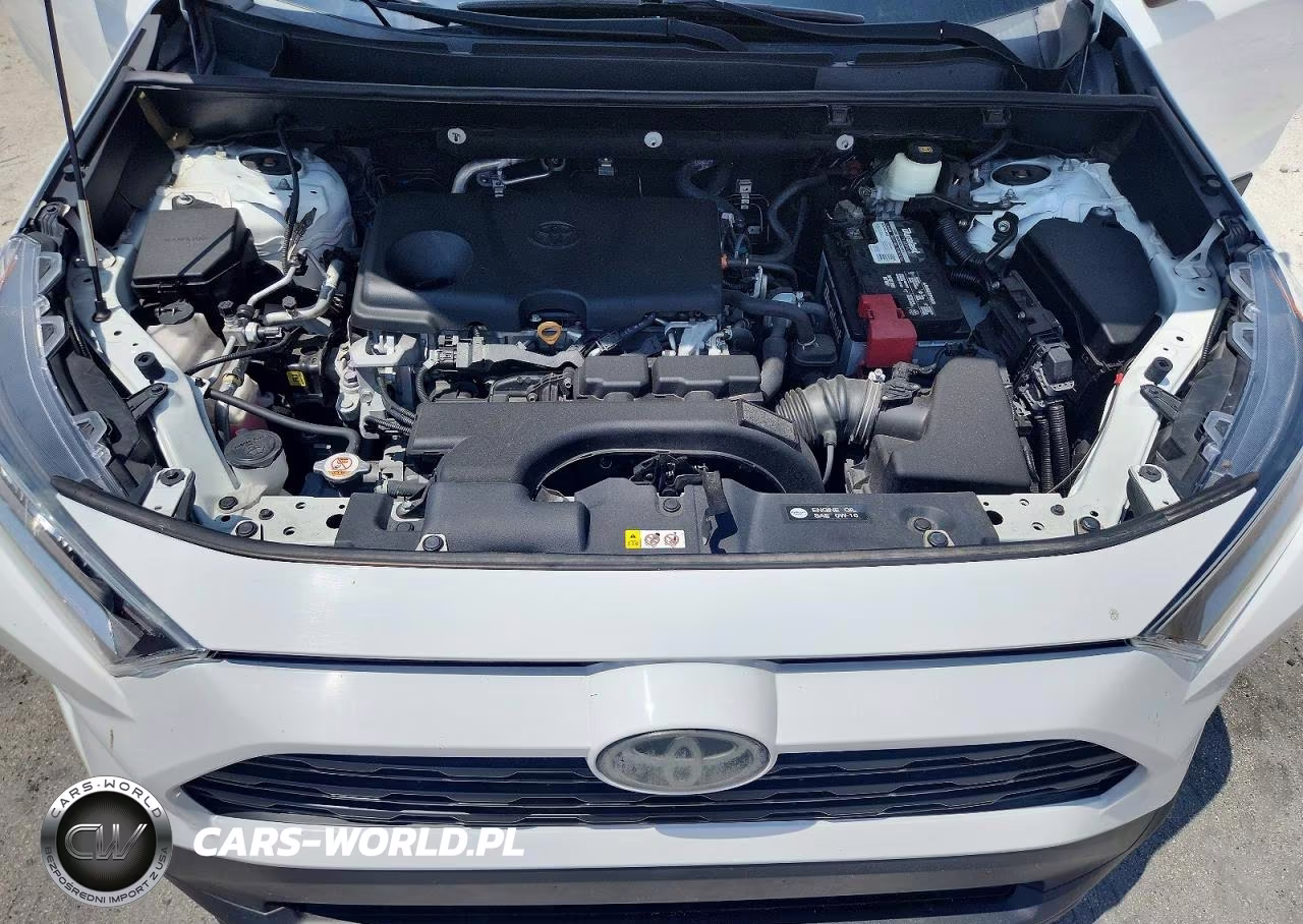 2020 Toyota Rav4 Xle VIN:2T3W1RFV9LW095639 - 12