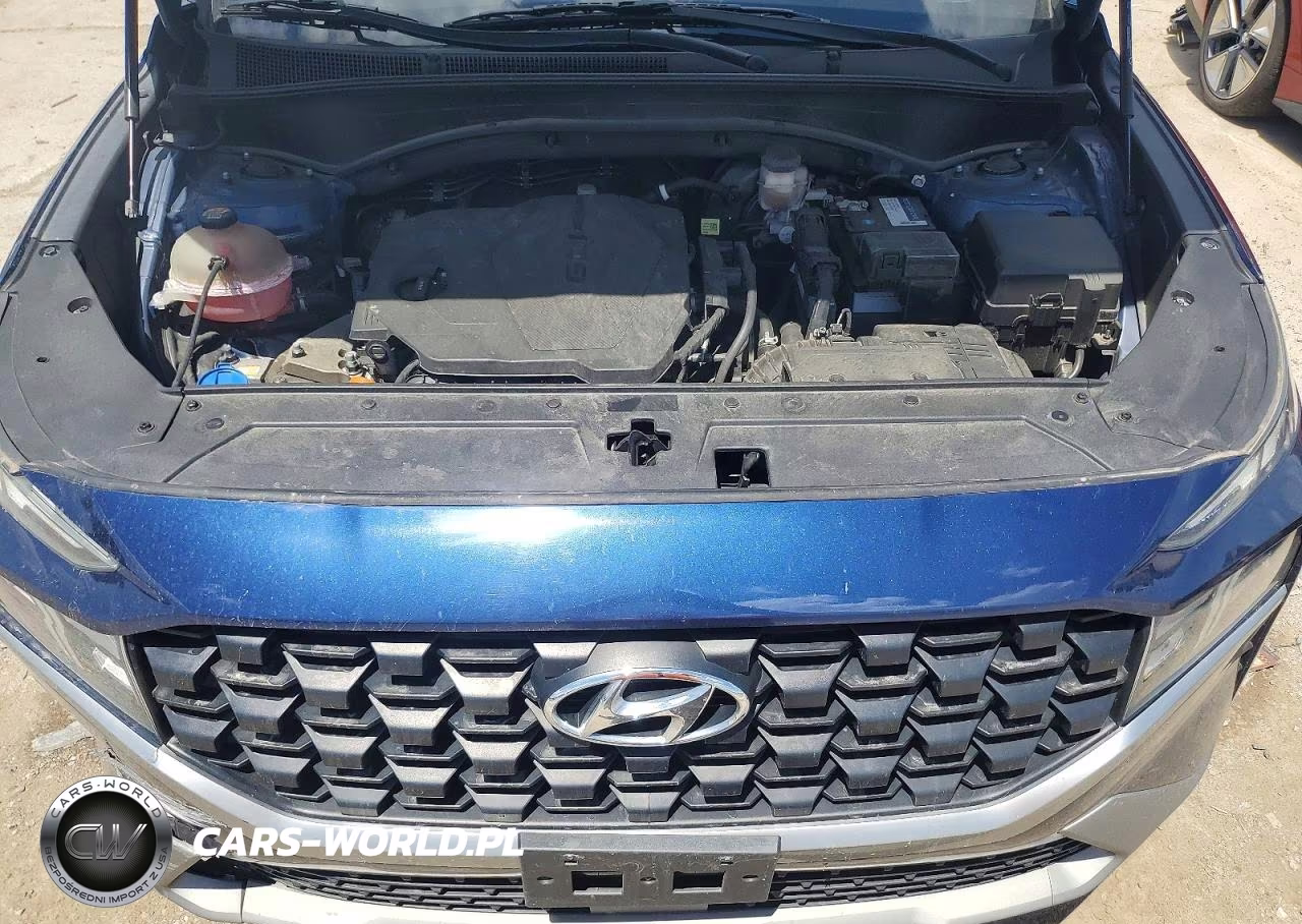 2021 Hyundai Santa Fe Se VIN:5NMS1DAJXMH329072 - 12