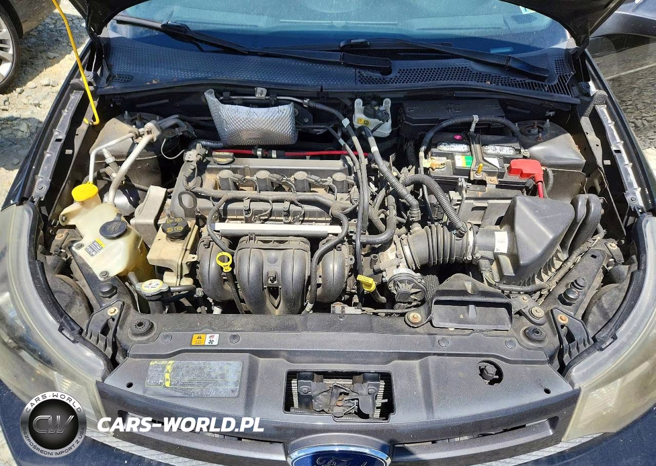 2010 Ford Focus Ses VIN:1FAHP3GN0AW149045 - 11