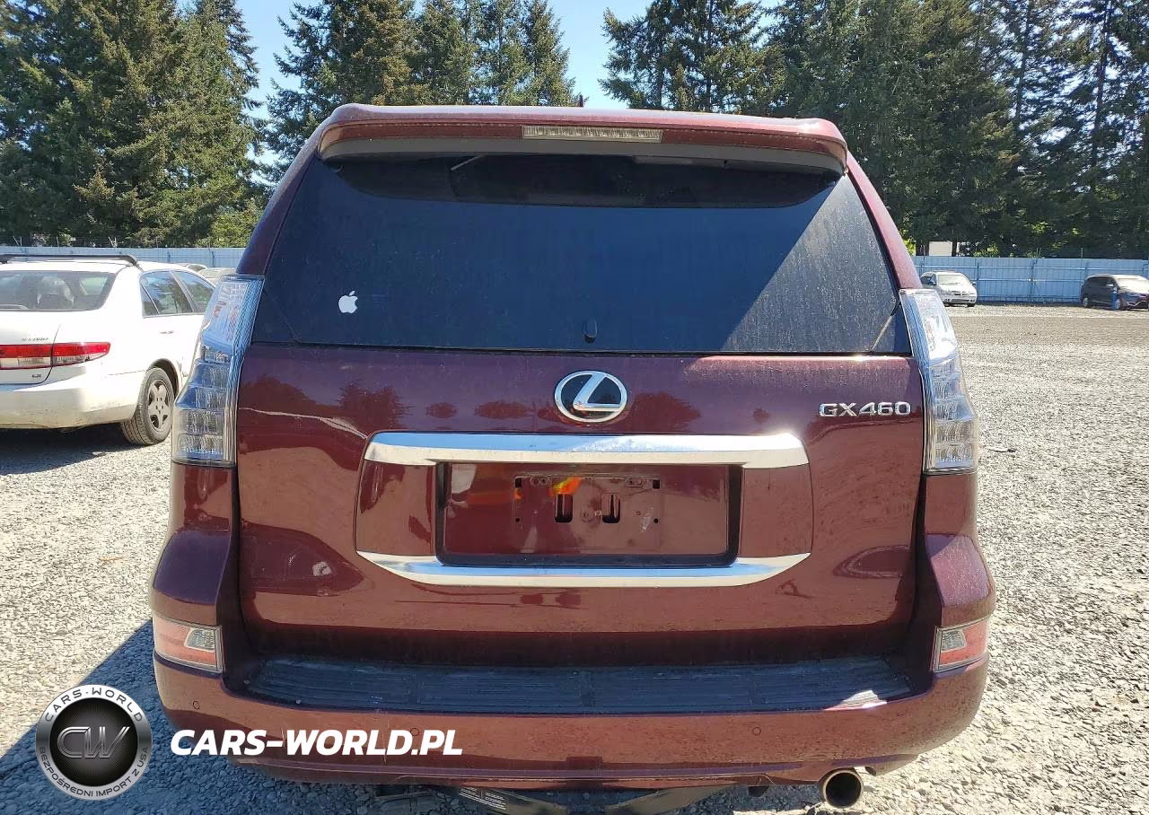 2020 Lexus Gx 460 Luxury VIN:JTJGM7BX4L5261156 - 6
