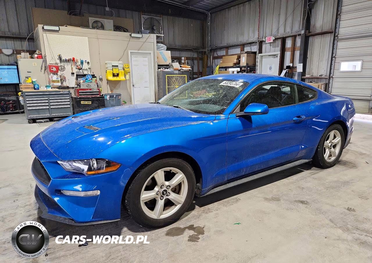 2019 Ford Mustang