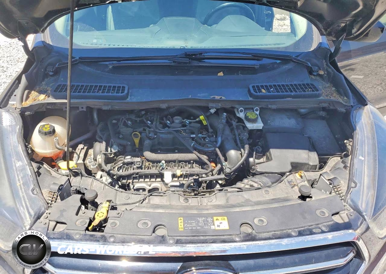 2019 Ford Escape Se VIN:1FMCU9GD9KUB85431 - 12