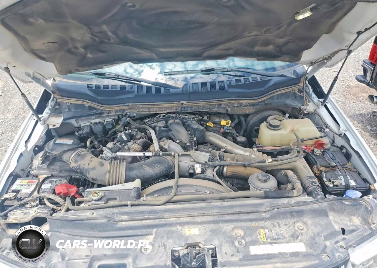 2019 Ford F350 Super Duty VIN:1FT8W3BT0KEC50869 - 11
