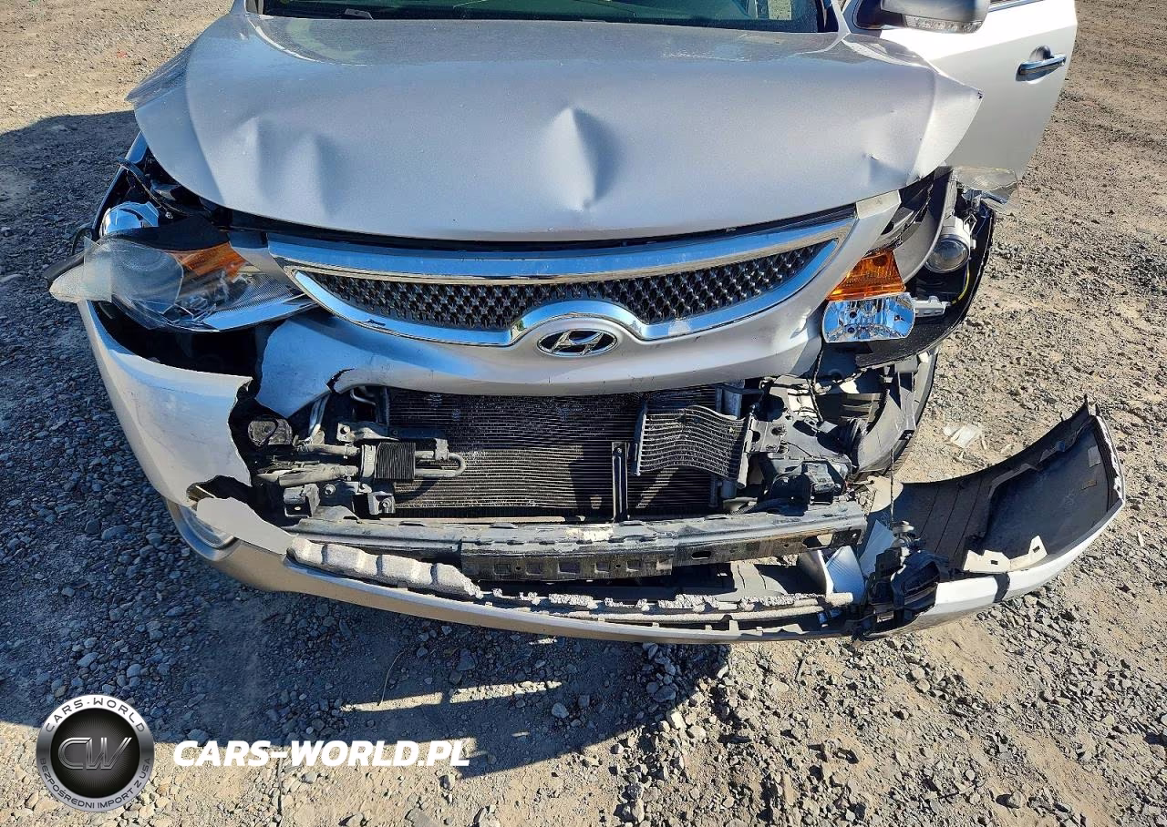 2010 Hyundai Veracruz Limited VIN:KM8NU4CC6AU131804 - 11