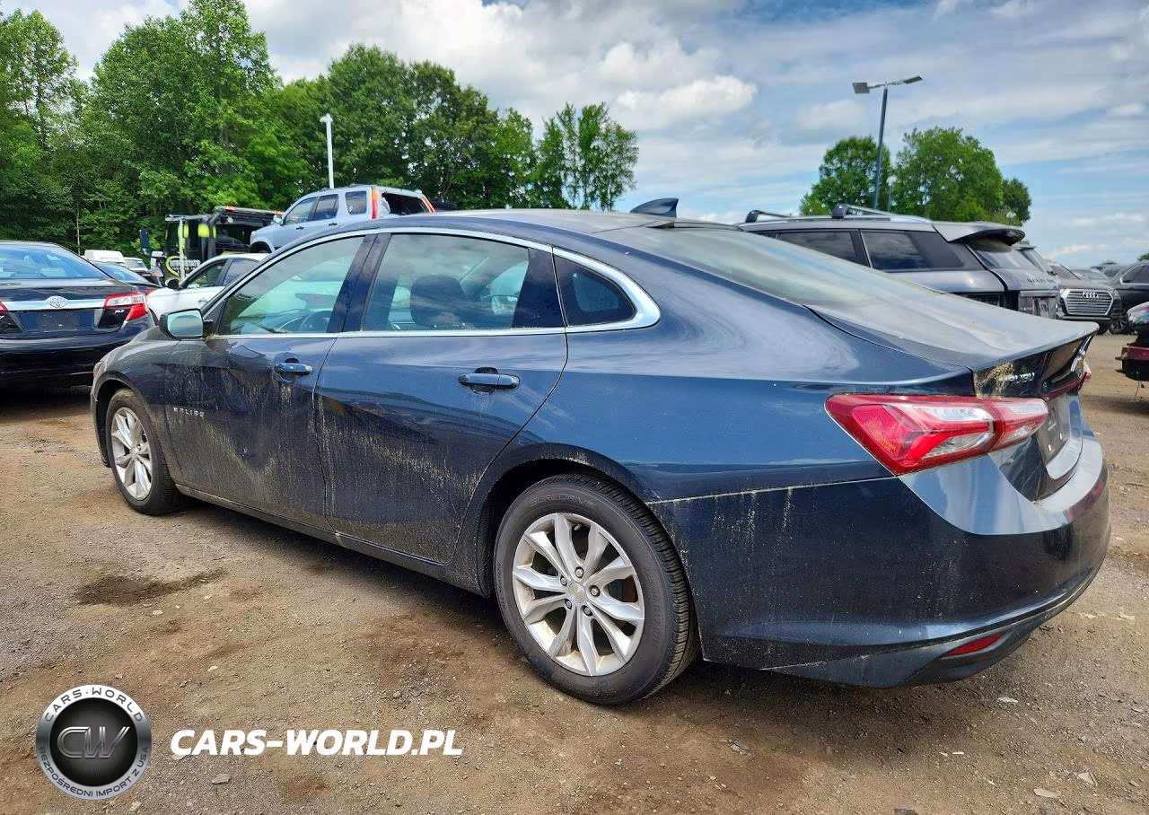 2019 Chevrolet Malibu Lt VIN:1G1ZD5ST3KF170037 - 2