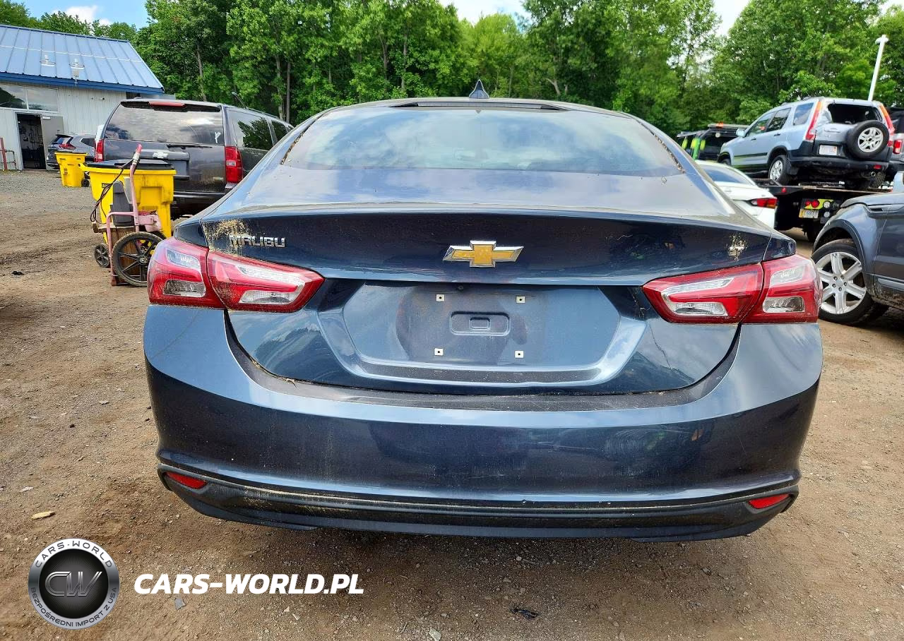 2019 Chevrolet Malibu Lt VIN:1G1ZD5ST3KF170037 - 6