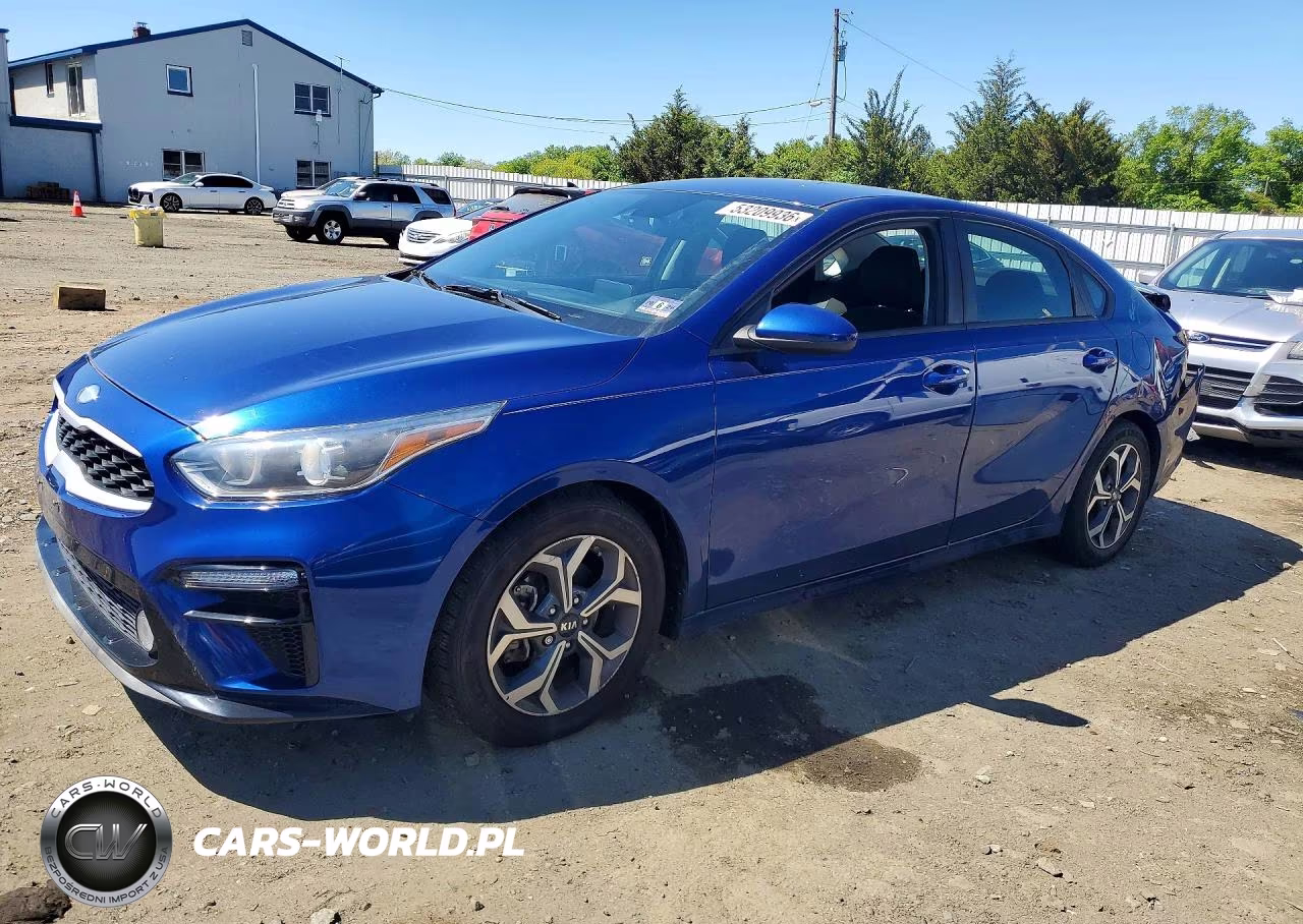 2019 Kia Forte Lxs