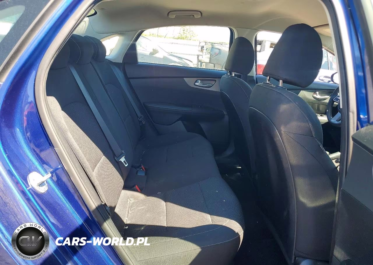 2019 Kia Forte Lxs VIN:3KPF24AD0KE130870 - 10
