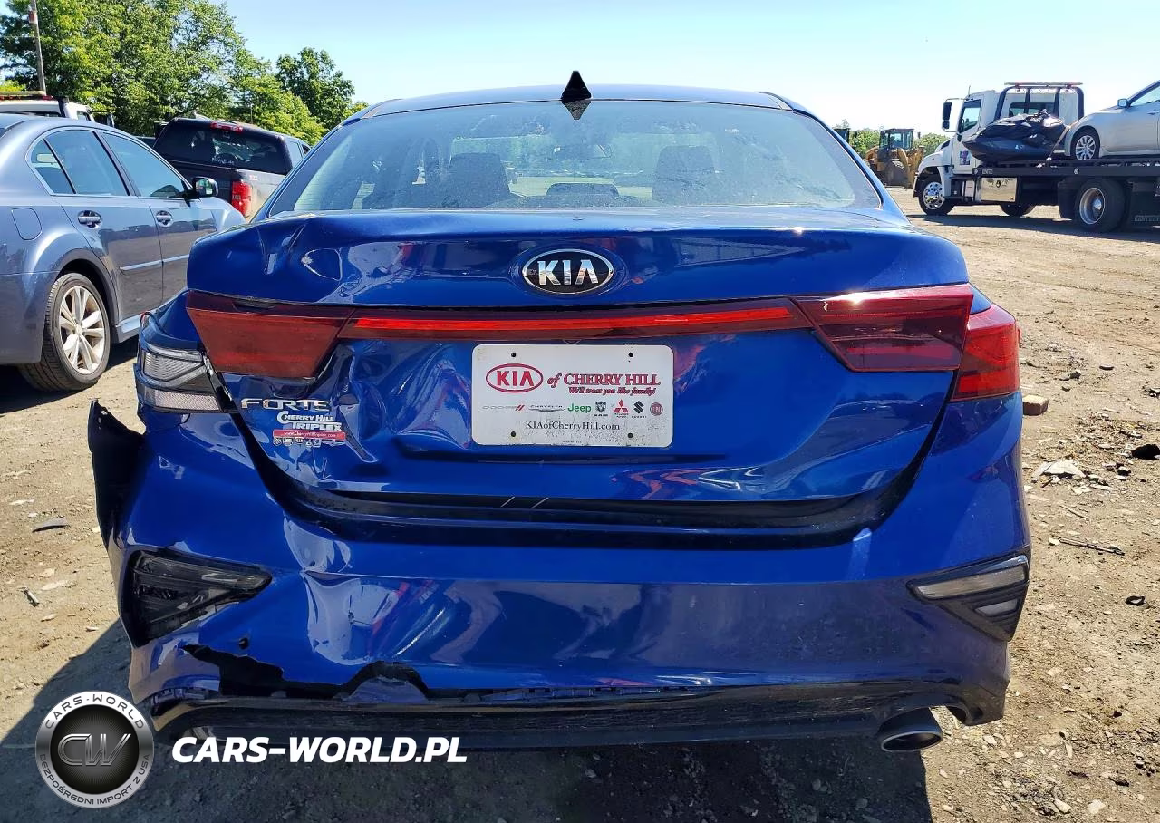 2019 Kia Forte Lxs VIN:3KPF24AD0KE130870 - 6