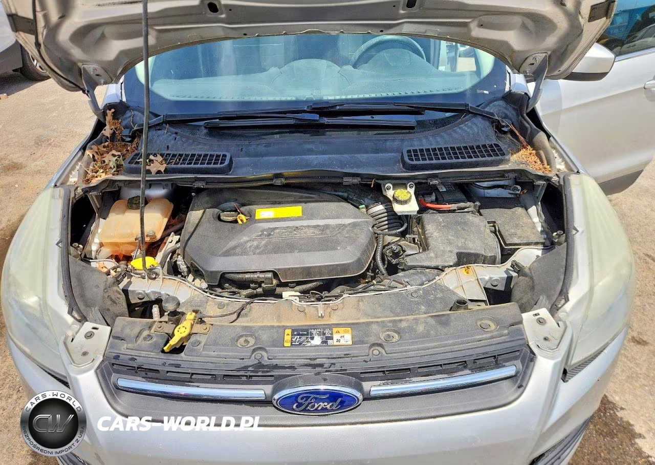 2015 Ford Escape Se VIN:1FMCU0GX3FUB03625 - 12