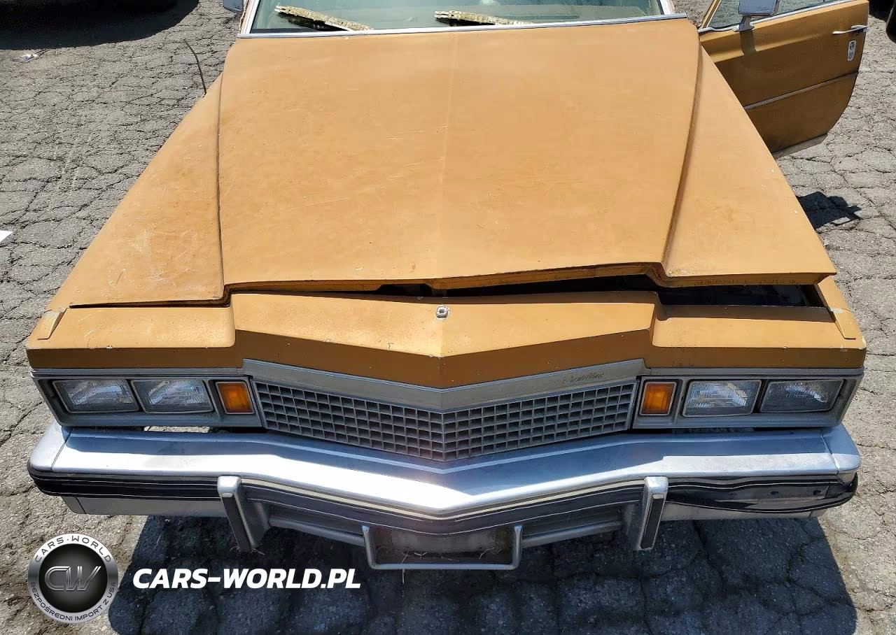 1978 Cadillac Fleetwood Chassis VIN:6B69S8Q234934 - 11