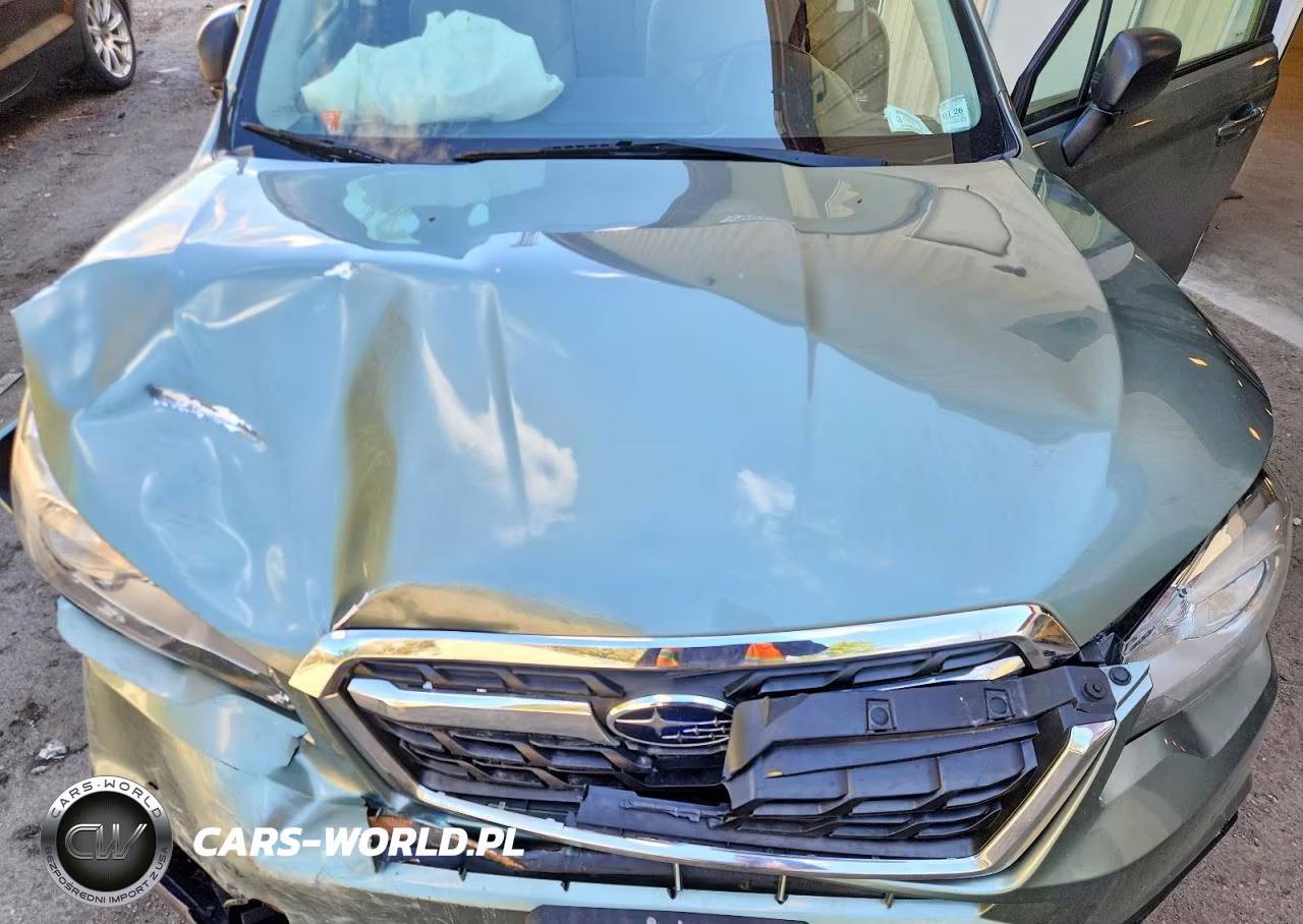 2017 Subaru Forester 2.5I VIN:JF2SJABC9HH536785 - 12