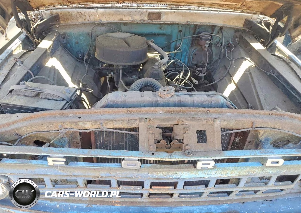 1965 Ford F-100 VIN:F10JR673472 - 11