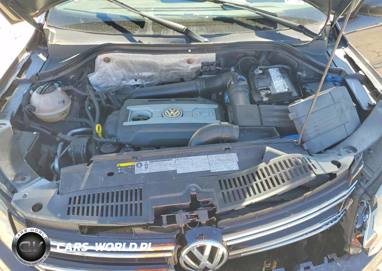 2016 Volkswagen Tiguan S VIN:WVGBV7AX6GW538140 - 12
