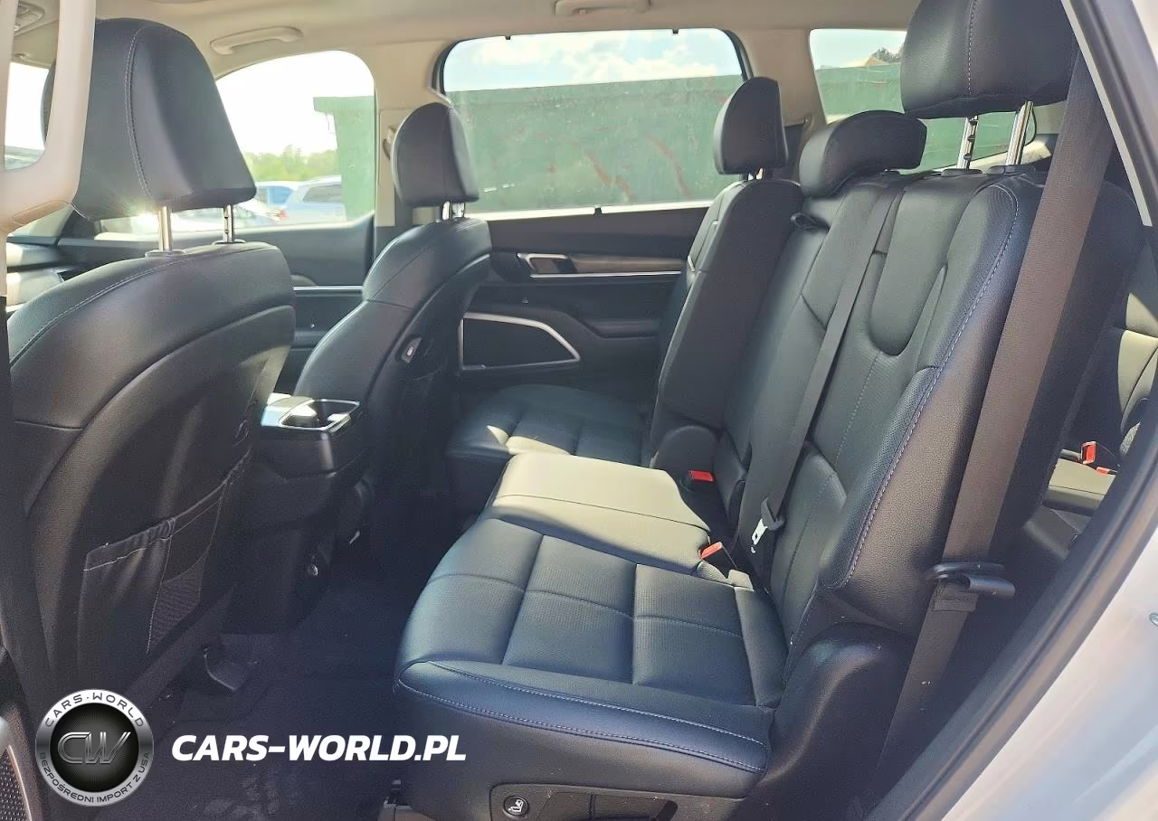 2020 Kia Telluride Ex VIN:5XYP3DHC6LG007321 - 11