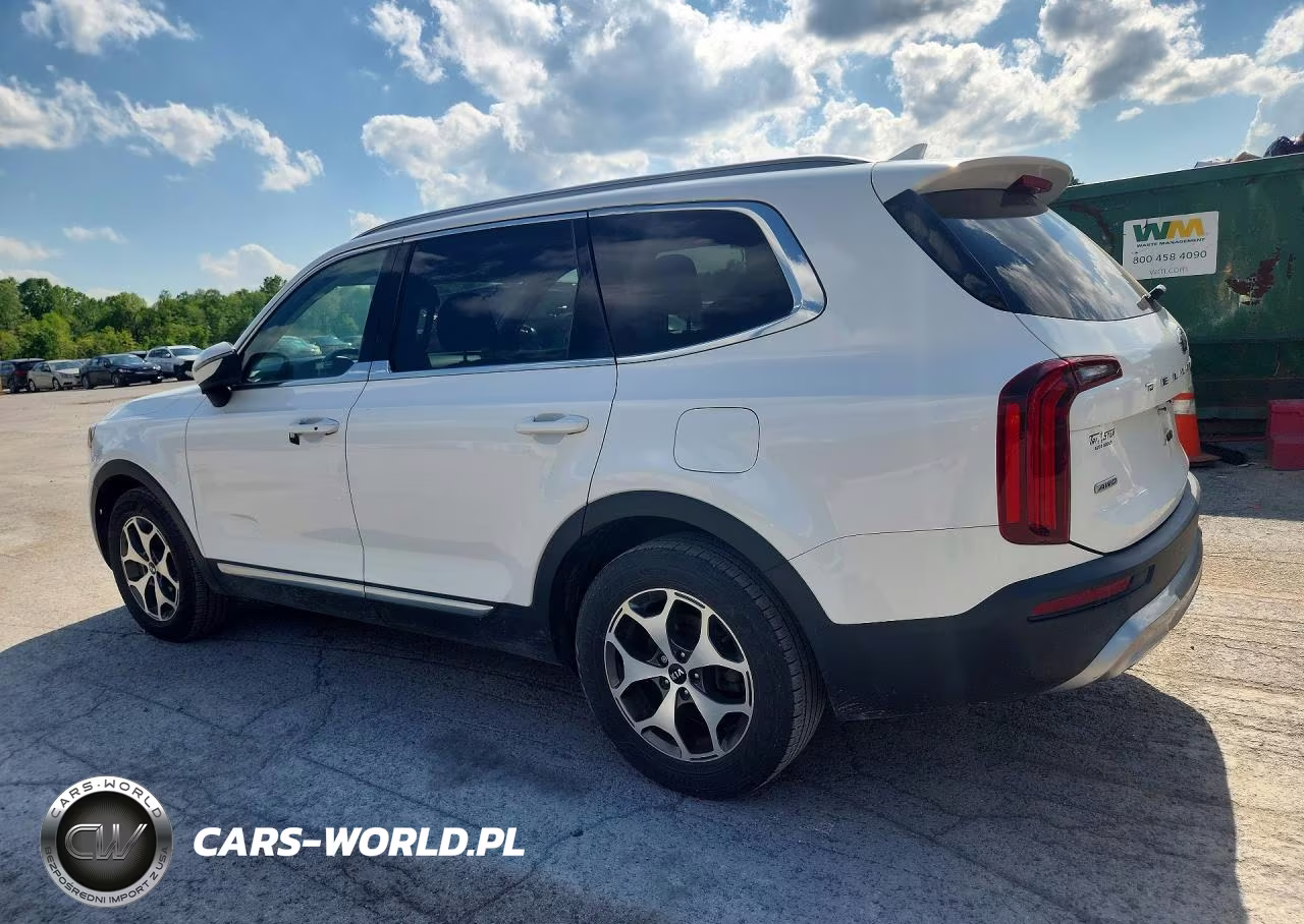 2020 Kia Telluride Ex VIN:5XYP3DHC6LG007321 - 2