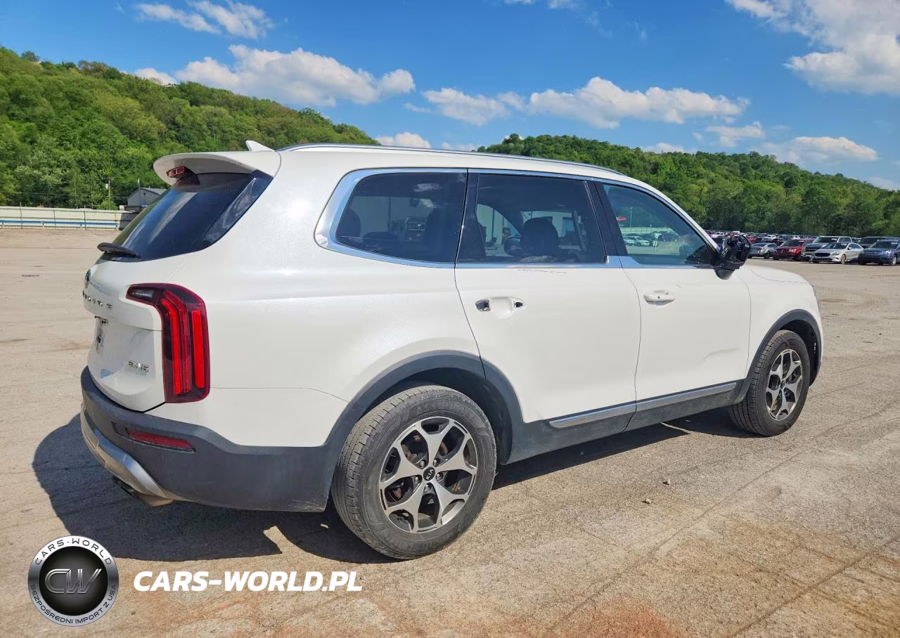2020 Kia Telluride Ex VIN:5XYP3DHC6LG007321 - 3