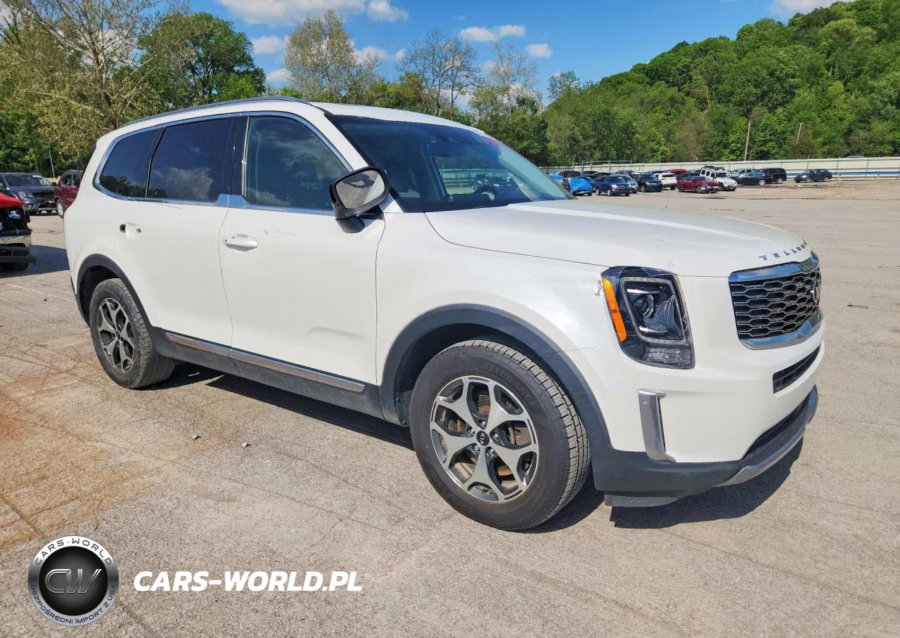 2020 Kia Telluride Ex VIN:5XYP3DHC6LG007321 - 4