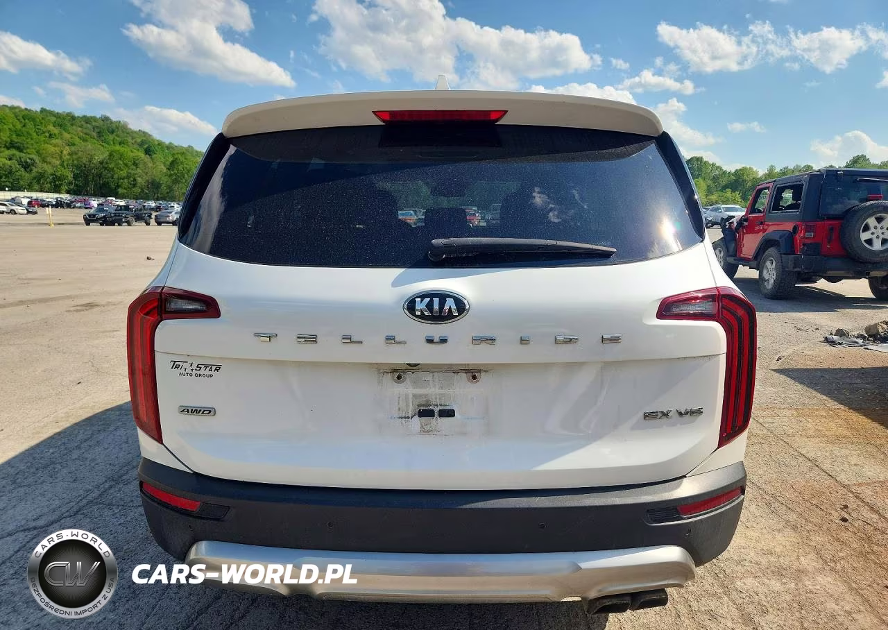 2020 Kia Telluride Ex VIN:5XYP3DHC6LG007321 - 6
