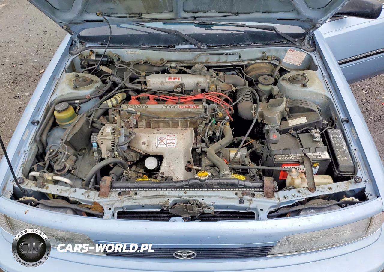 1991 Toyota Camry Dlx VIN:4T1SV21E7MU453056 - 11