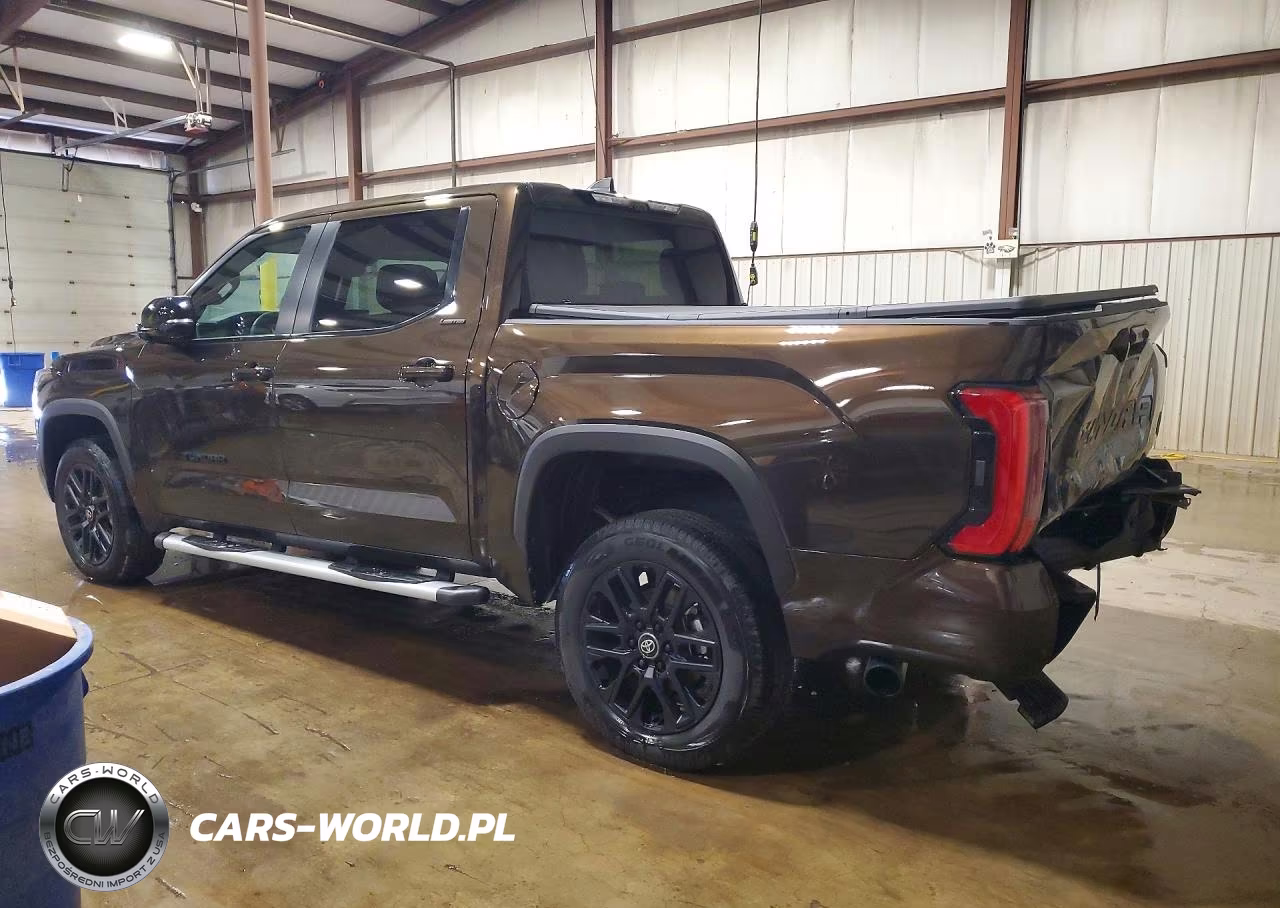 2025 Toyota Tundra Limited VIN:5TFWA5DB6SX299617 - 2