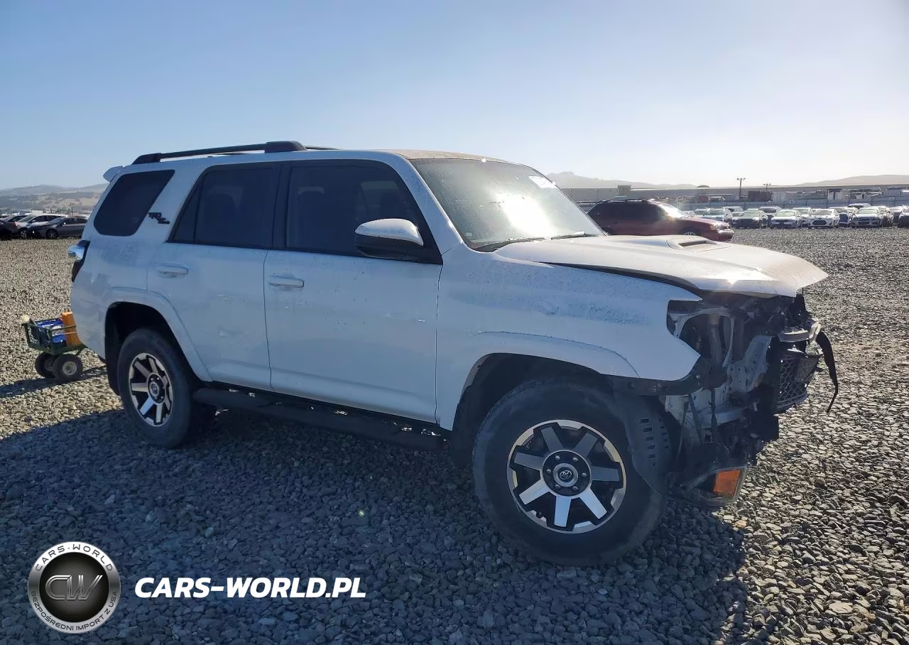 2020 Toyota 4Runner Trd Off-Road VIN:JTEBU5JR0L5807533 - 4