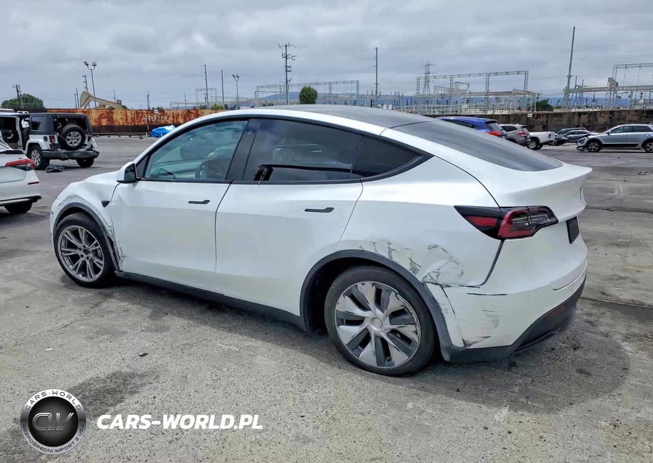2020 Tesla Model Y VIN:5YJYGDEE0LF031894 - 2